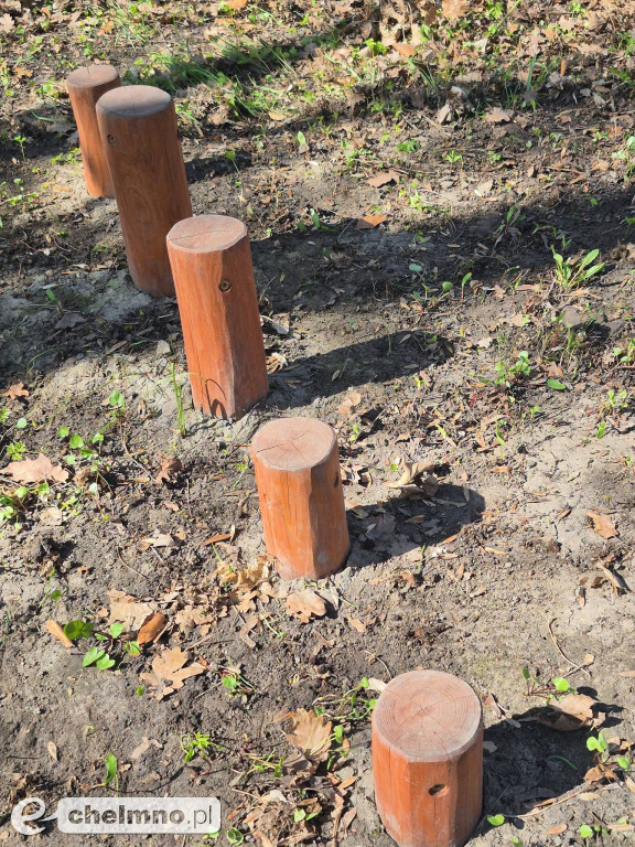 Pierwsze spotkanie z cyklu „Kultura w Zielonej Przestrzeni”