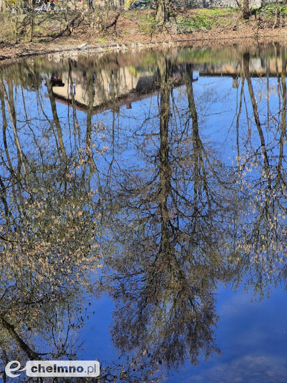 Pierwsze spotkanie z cyklu „Kultura w Zielonej Przestrzeni”
