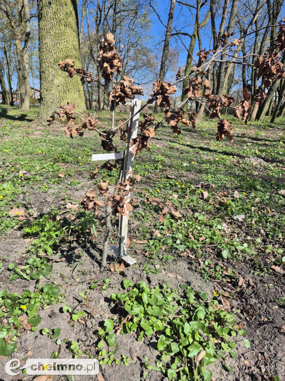 Pierwsze spotkanie z cyklu „Kultura w Zielonej Przestrzeni”