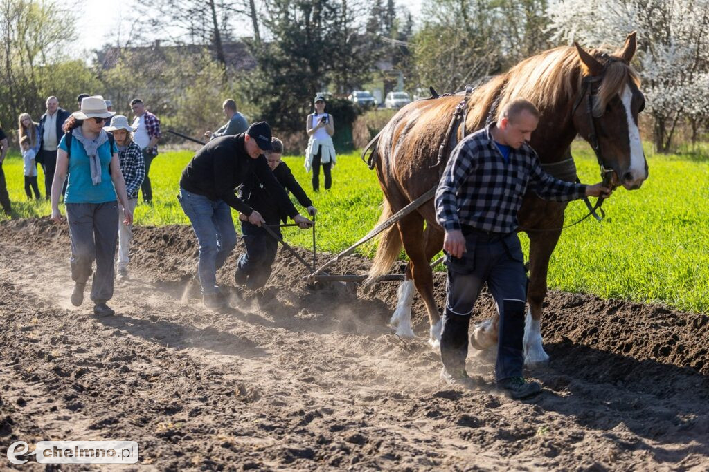 Eskapada: odkryliśmy lokalne perełki z przewodnikami