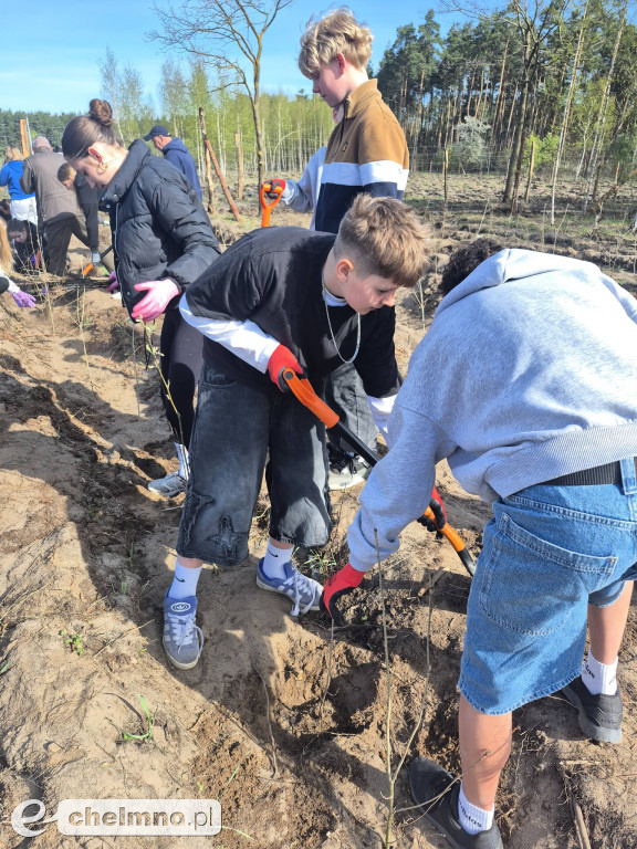 Ja i moje drzewo – świętujemy Dzień Ziemi!
