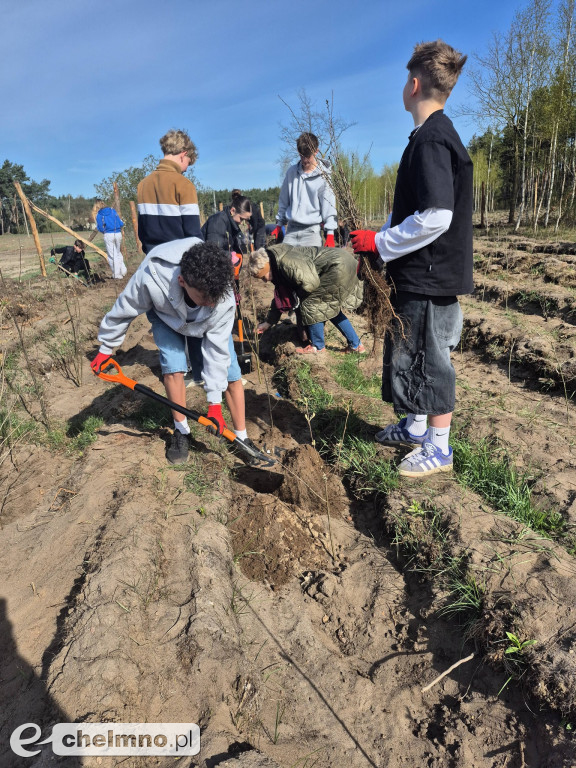 Ja i moje drzewo – świętujemy Dzień Ziemi!