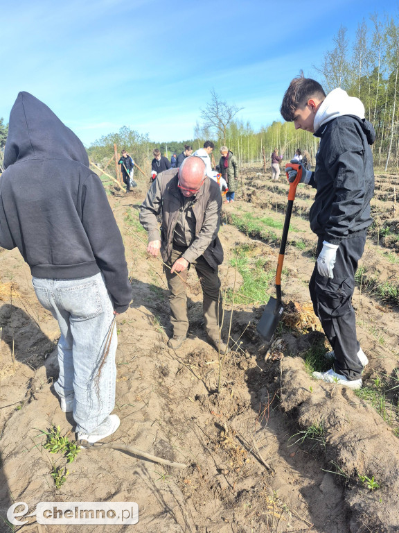 Ja i moje drzewo – świętujemy Dzień Ziemi!