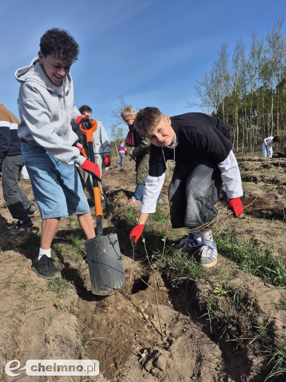 Ja i moje drzewo – świętujemy Dzień Ziemi!