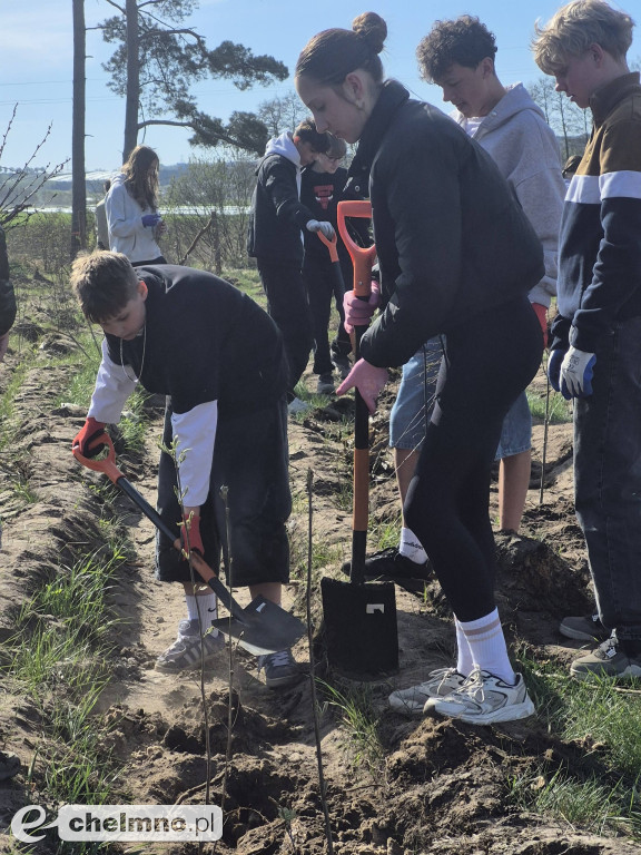 Ja i moje drzewo – świętujemy Dzień Ziemi!