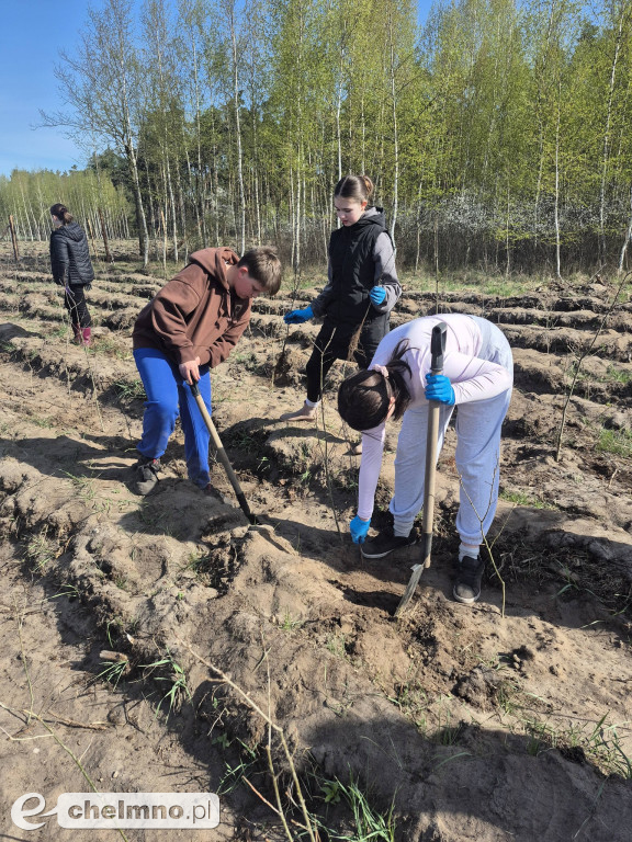 Ja i moje drzewo – świętujemy Dzień Ziemi!