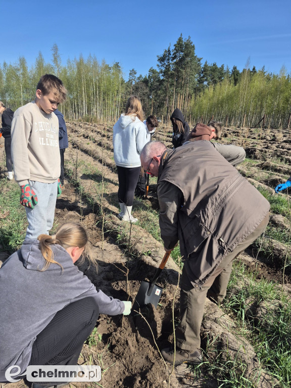 Ja i moje drzewo – świętujemy Dzień Ziemi!