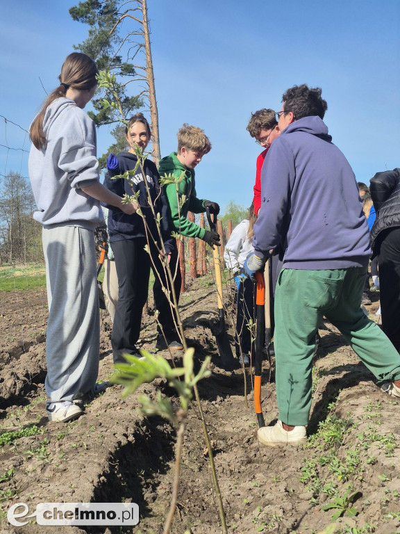 Ja i moje drzewo – świętujemy Dzień Ziemi!
