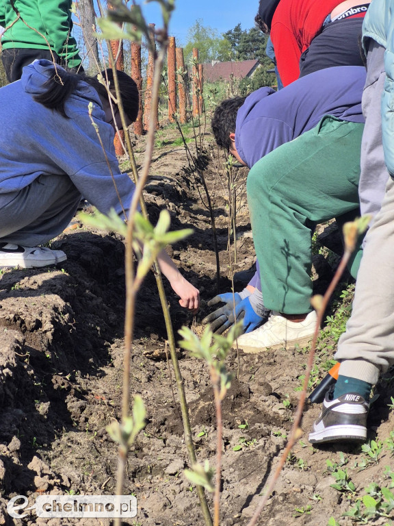 Ja i moje drzewo – świętujemy Dzień Ziemi!