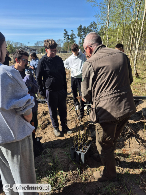 Ja i moje drzewo – świętujemy Dzień Ziemi!
