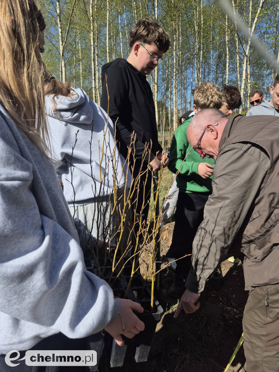 Ja i moje drzewo – świętujemy Dzień Ziemi!