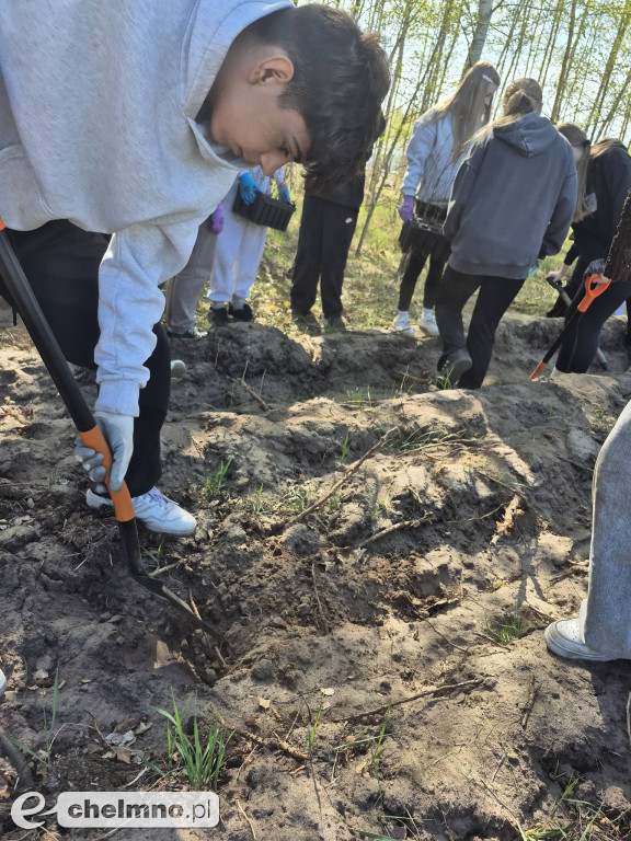 Ja i moje drzewo – świętujemy Dzień Ziemi!