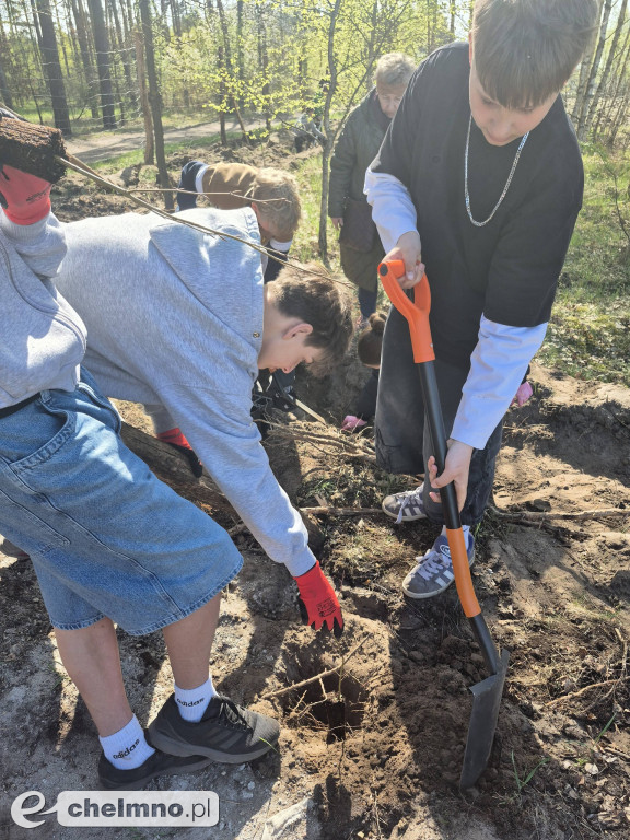 Ja i moje drzewo – świętujemy Dzień Ziemi!