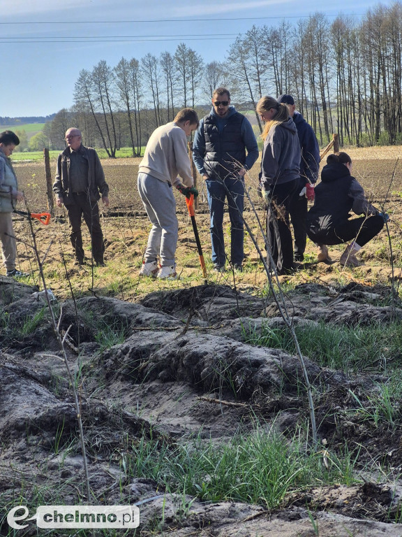 Ja i moje drzewo – świętujemy Dzień Ziemi!
