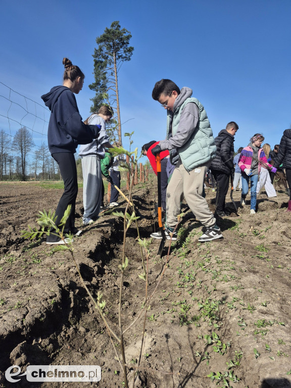 Ja i moje drzewo – świętujemy Dzień Ziemi!