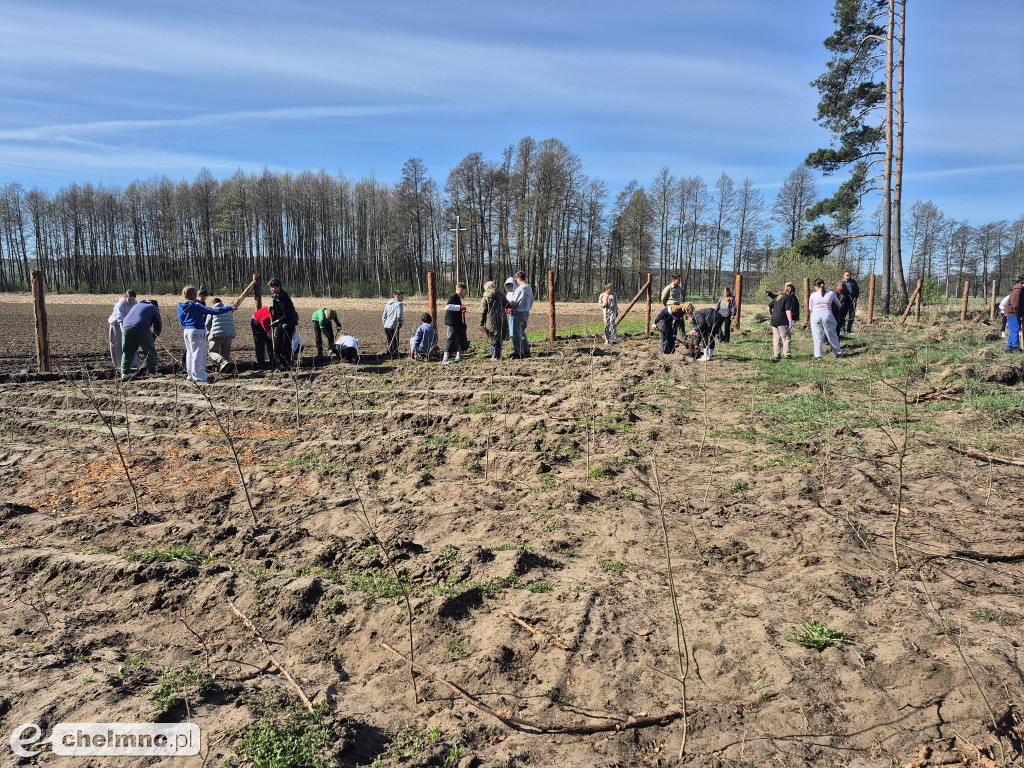 Ja i moje drzewo – świętujemy Dzień Ziemi!