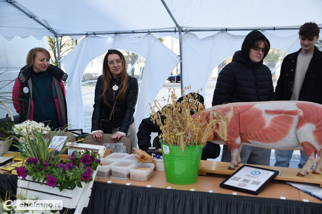 Tłumy uczestników bawiły się na Święcie Czekolady