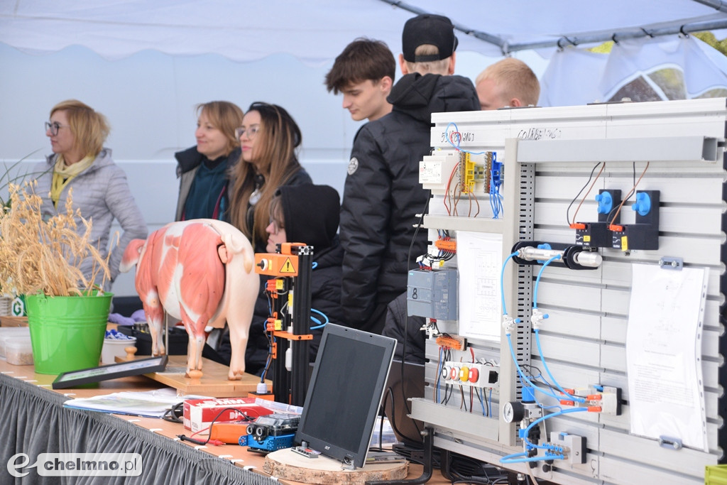 Tłumy uczestników bawiły się na Święcie Czekolady