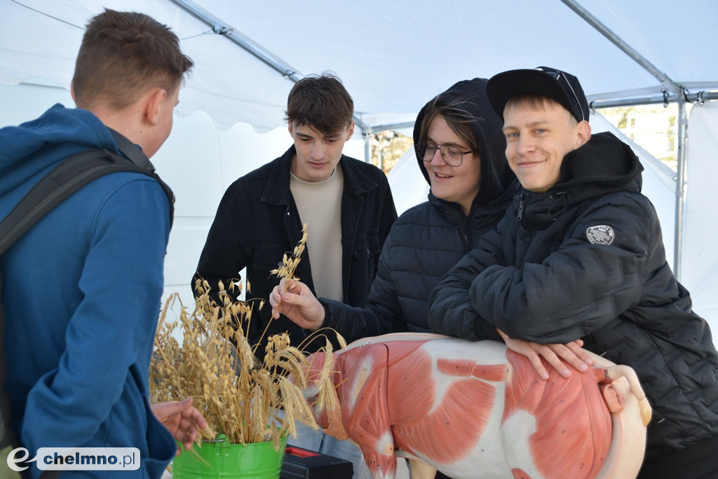 Tłumy uczestników bawiły się na Święcie Czekolady