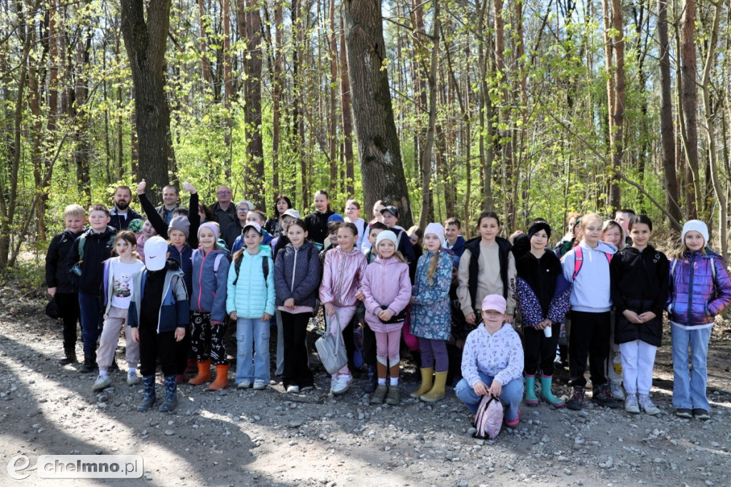 Las, który oddycha czystością