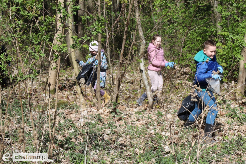 Las, który oddycha czystością