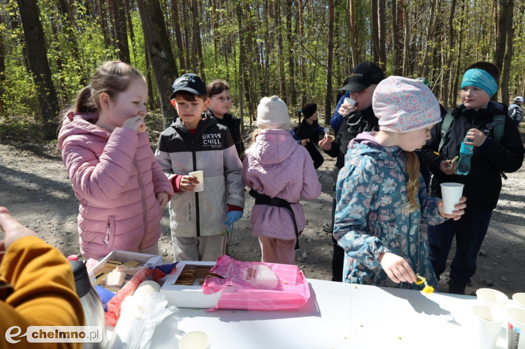 Las, który oddycha czystością