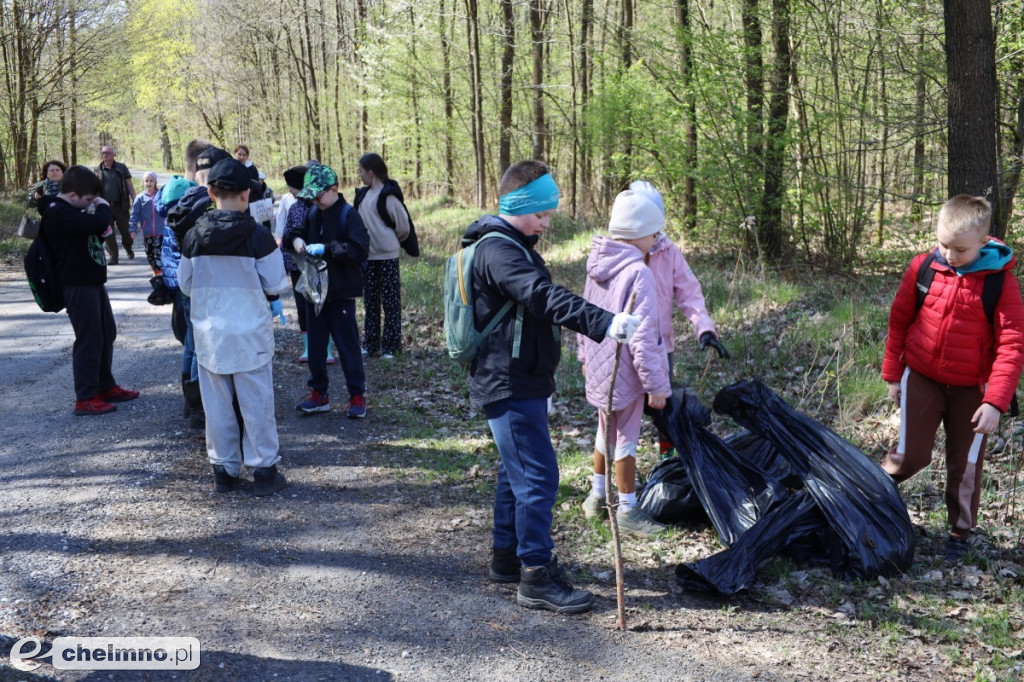 Las, który oddycha czystością