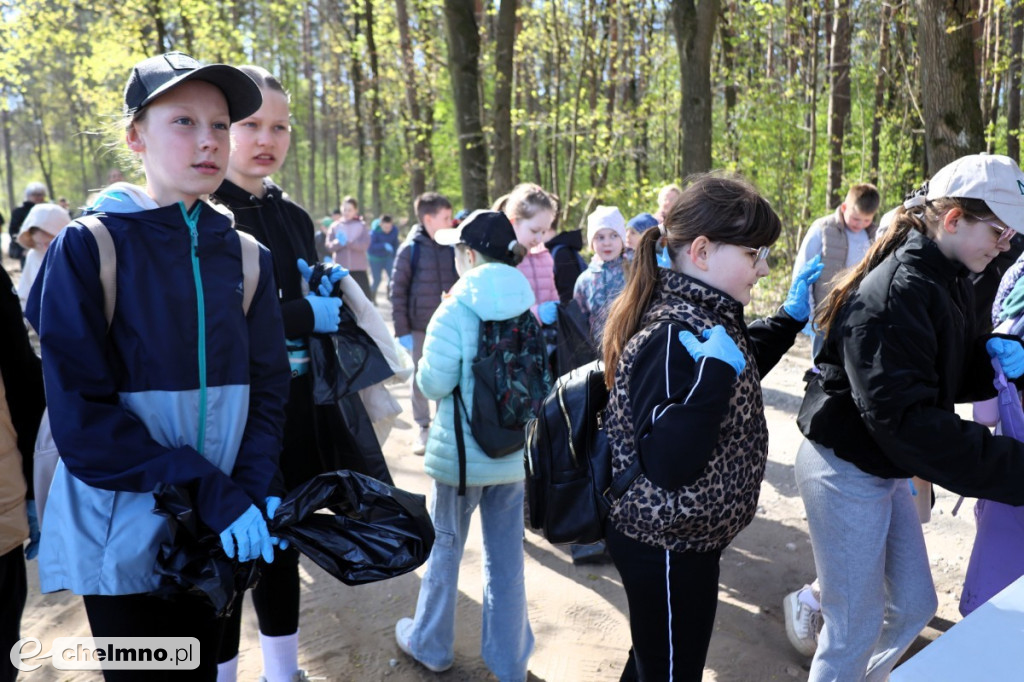 Las, który oddycha czystością