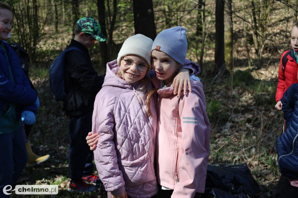 Las, który oddycha czystością