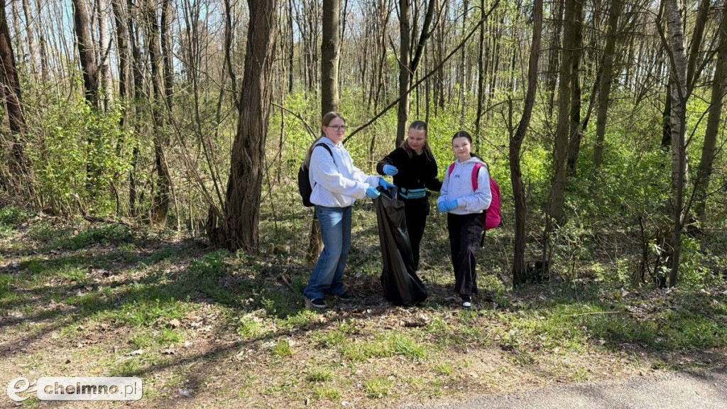 Las, który oddycha czystością