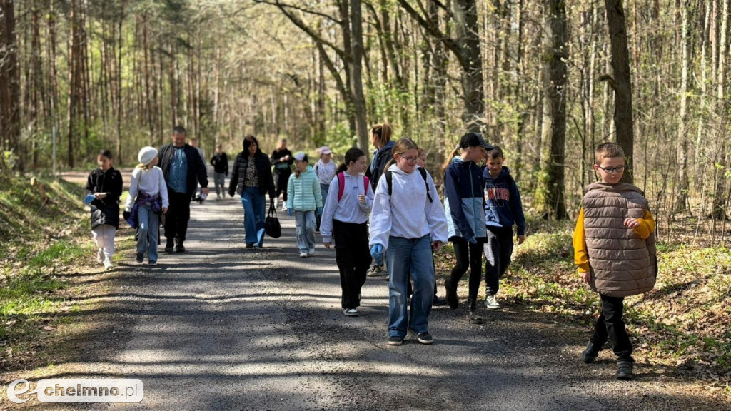 Las, który oddycha czystością