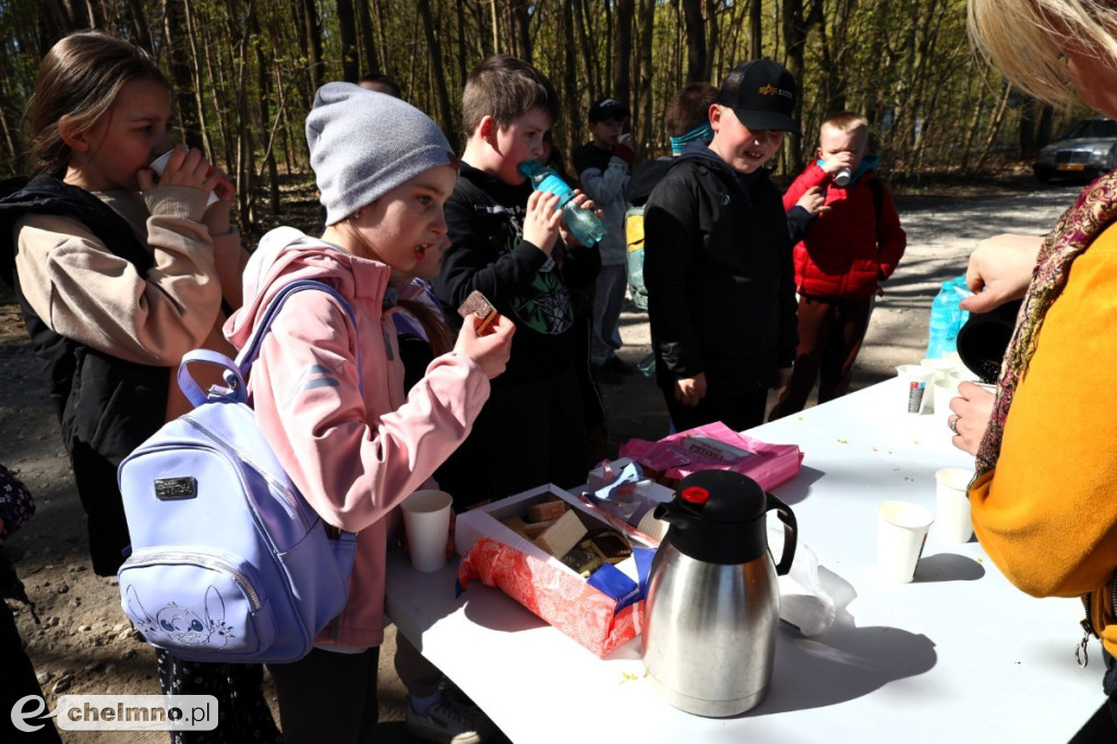 Las, który oddycha czystością