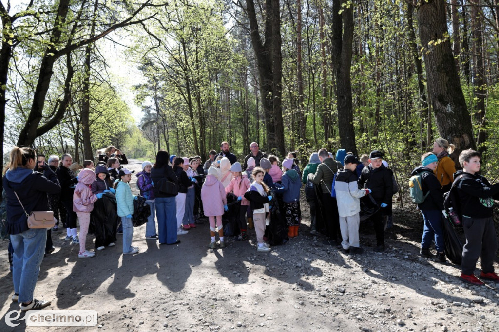 Las, który oddycha czystością