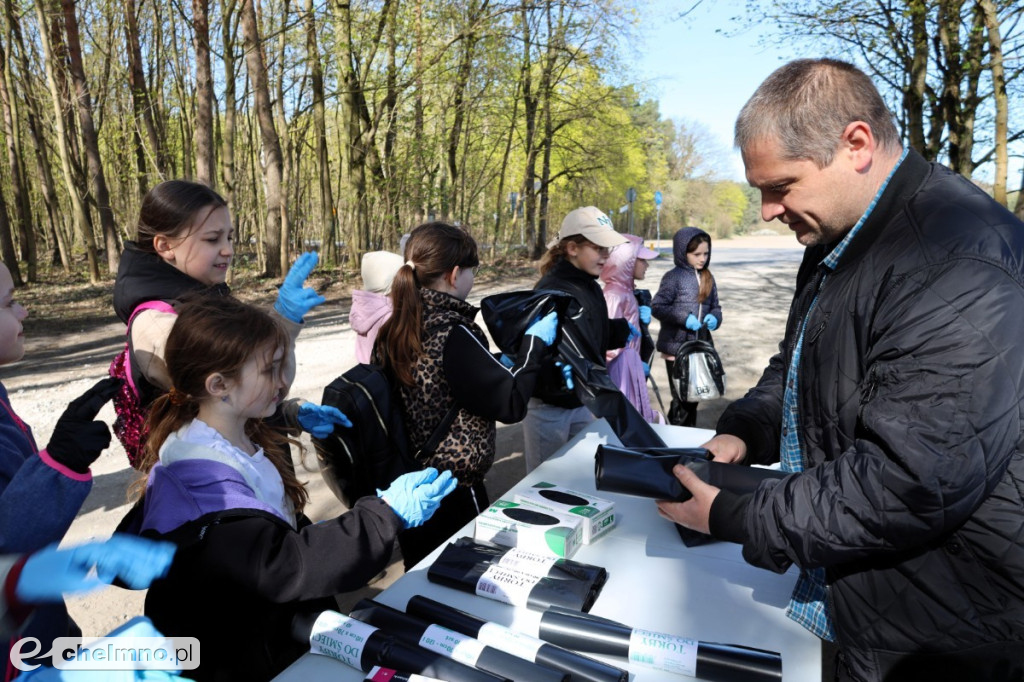 Las, który oddycha czystością
