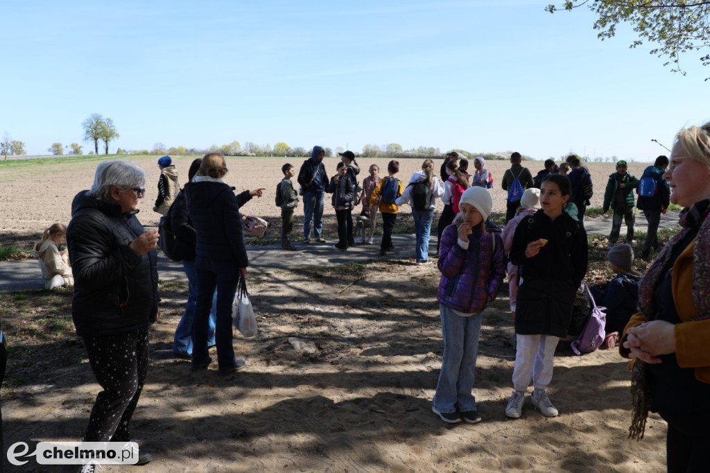 Las, który oddycha czystością