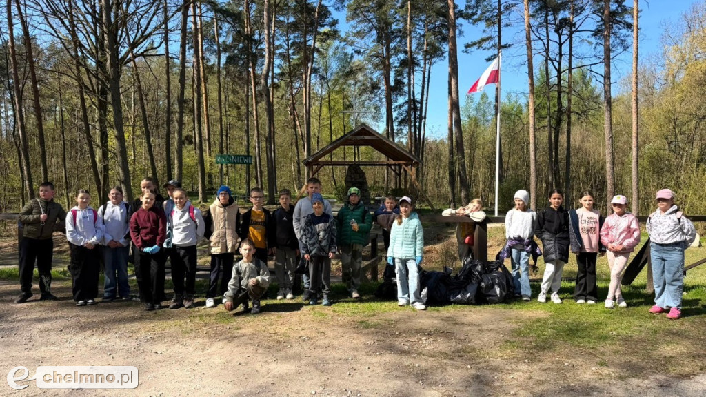 Las, który oddycha czystością