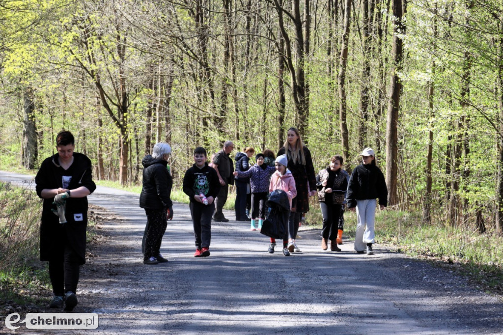 Las, który oddycha czystością