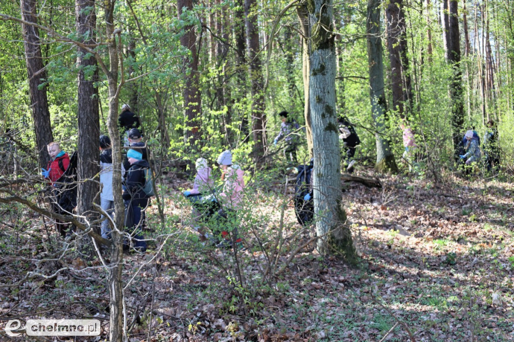 Las, który oddycha czystością