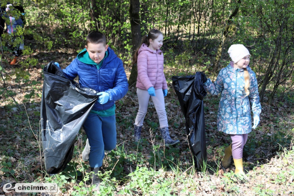 Las, który oddycha czystością