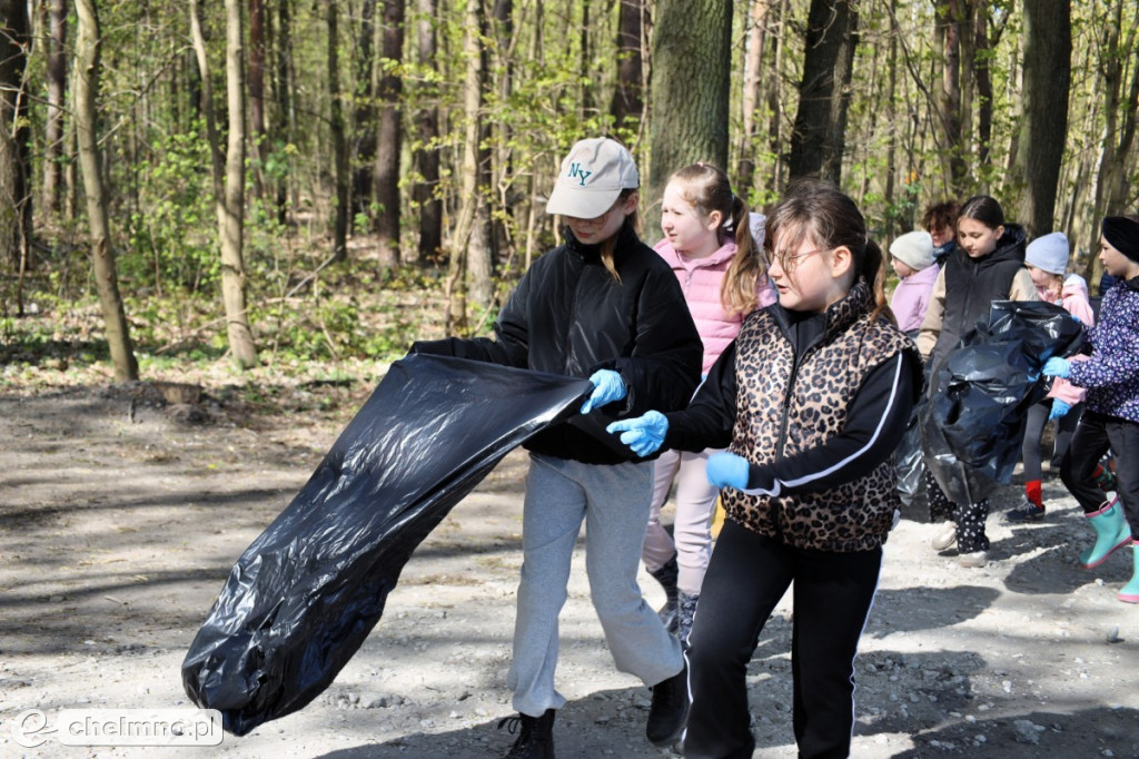 Las, który oddycha czystością