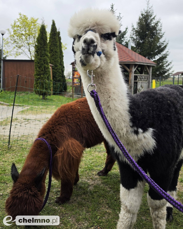 Świetna inicjatywa – taka sobota ma sens