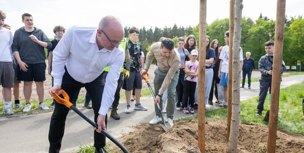 Zielone aleje wracają