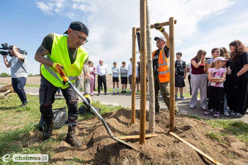 Zielone aleje wracają