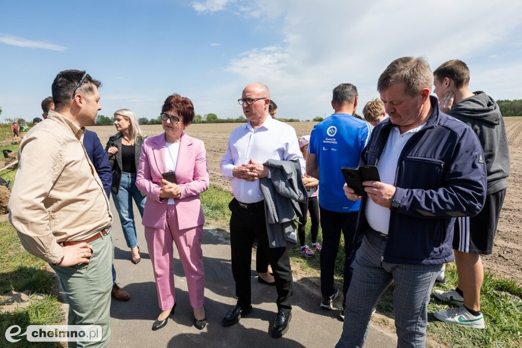 Zielone aleje wracają