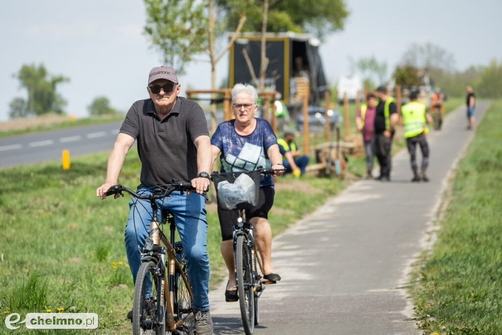 Zielone aleje wracają