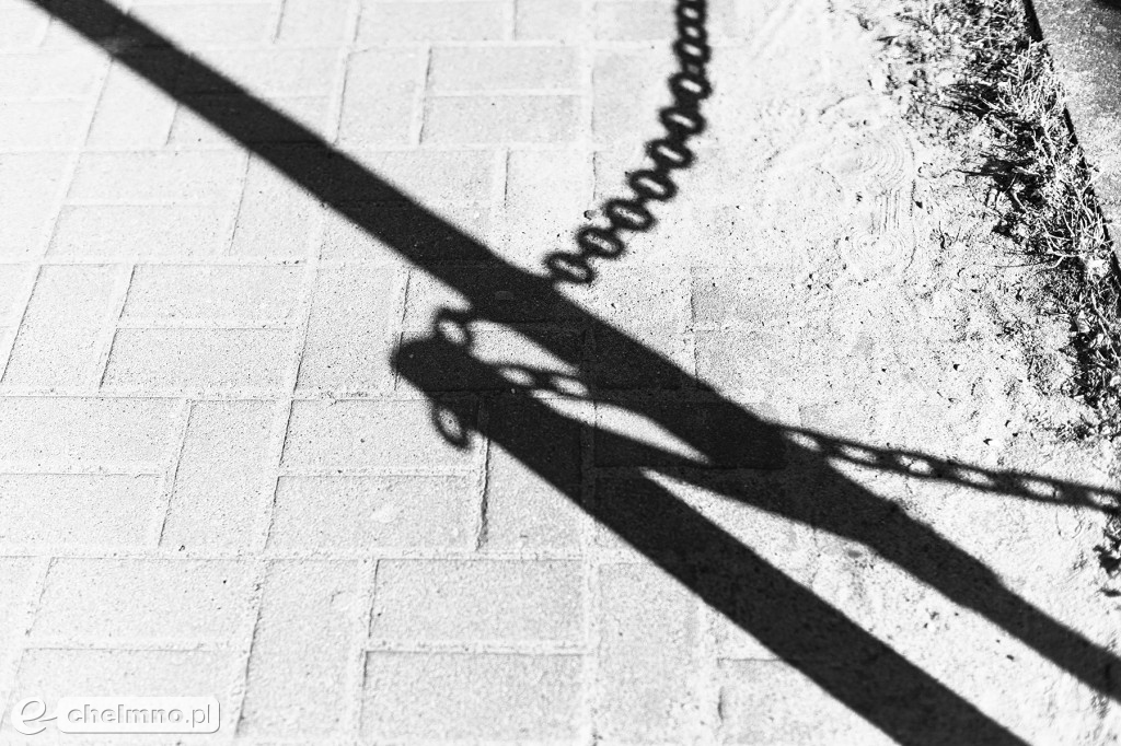 Uczestnicy koła fotograficznego w plenerze