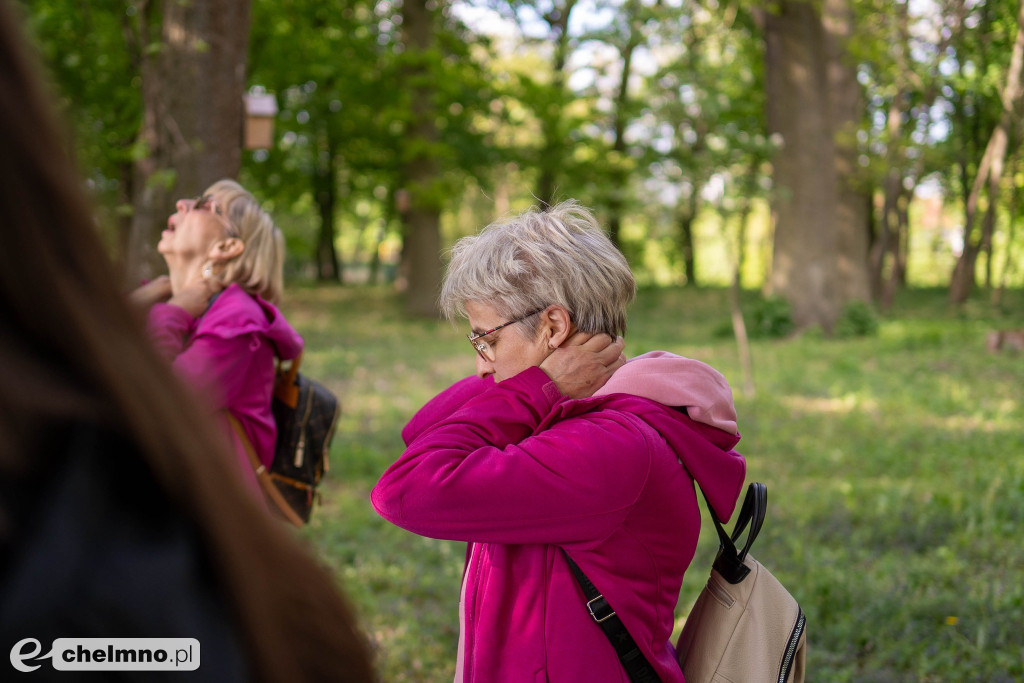 Kultura w Zielonej Przestrzeni dzieje się w ramach