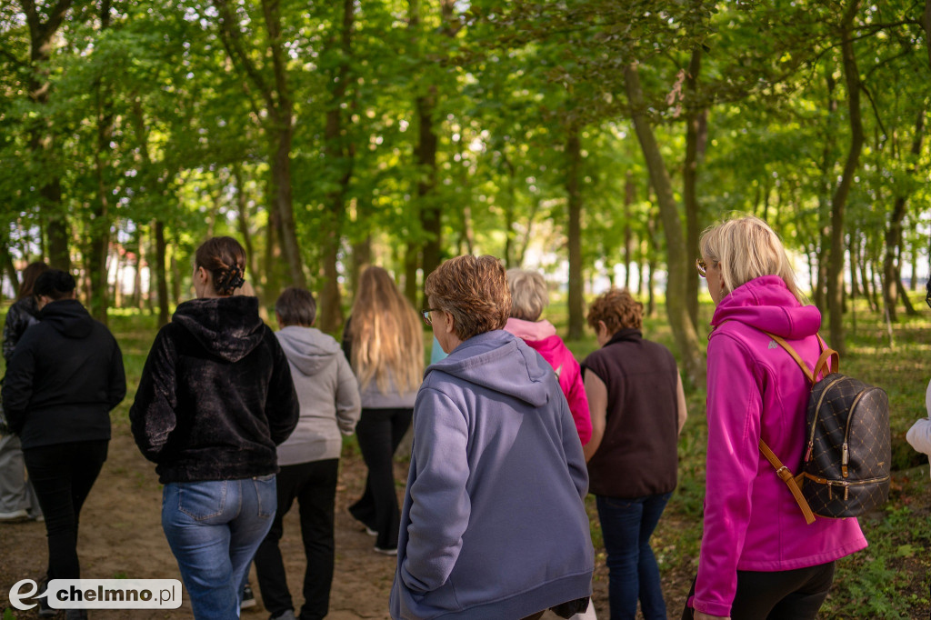 Kultura w Zielonej Przestrzeni dzieje się w ramach