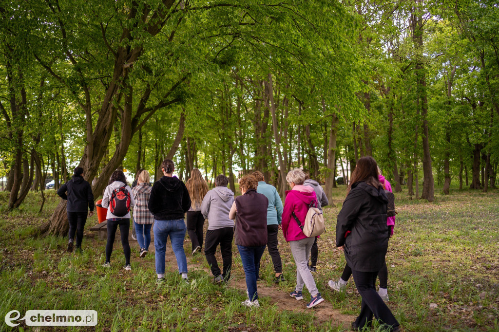 Kultura w Zielonej Przestrzeni dzieje się w ramach