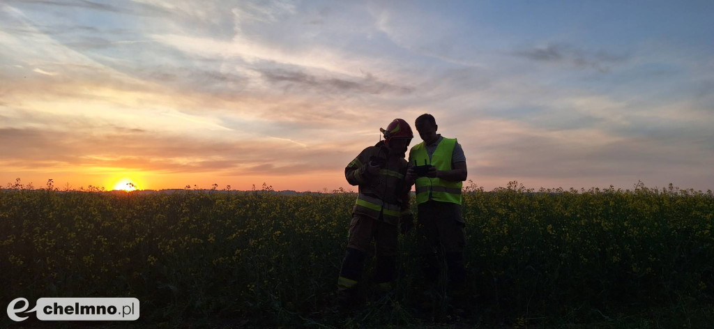 Pożar trzcinowisk w Podwiesku. Strażacy walczyli z ogniem